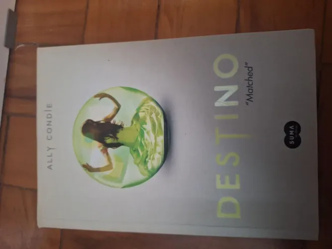 Livro: Destino - Ally Conde