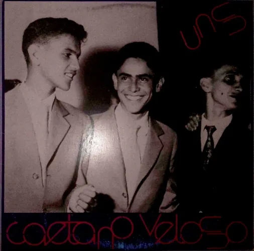 Vinil Caetano Veloso - Uns