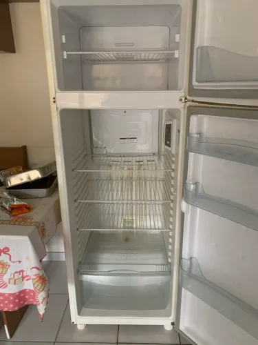 Geladeira não é Frosfree