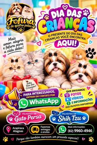 Trabalhamos com vendas de filhotes de (Gato Persa e Shih-tzu)