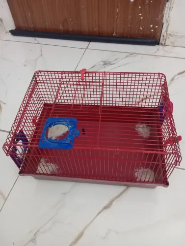Gaiola para hamster + bebedouro e túnel 