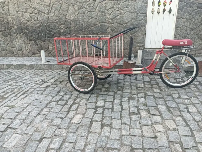 Triciclo cargueira