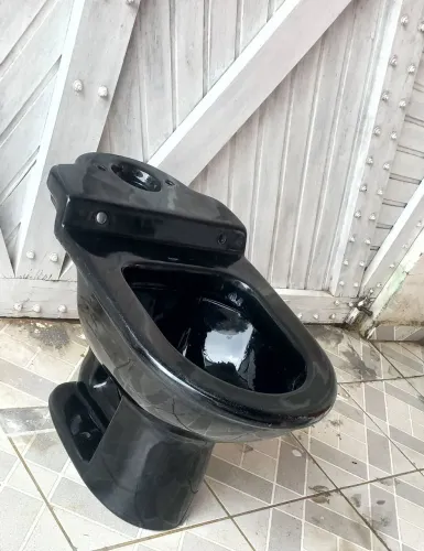 Vaso sanitario preto  sem a caixa 