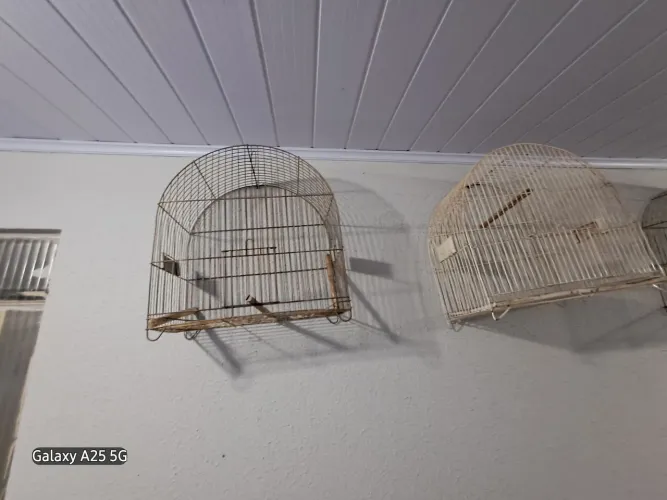 Gaiolas 