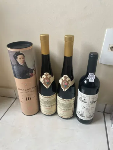 VINHOS DO PORTO, PALACIO DA BREJOEIRA, DIÁLOGO