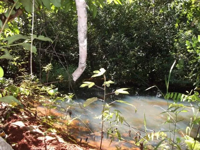 Área de 1.700metros, terra de plantio com,agua,luz. WhTSApp * Guilherme