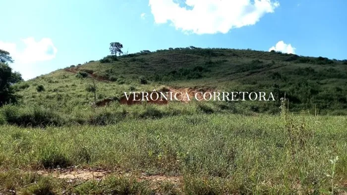 Sítio venda em São João Nepomuceno MG. 15 hectares