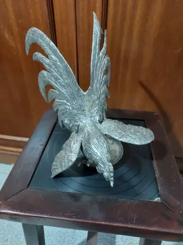 GALO DE BRIGA EM PERFEITO ESTADO 