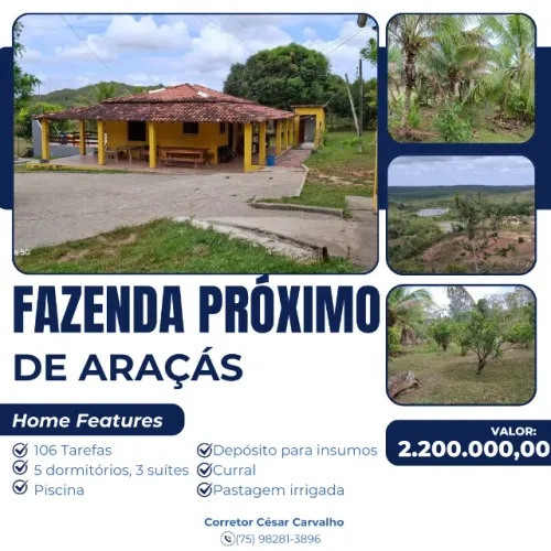 FAZENDA PRÓXIMO À ARAÇÁS - 106 TAREFAS