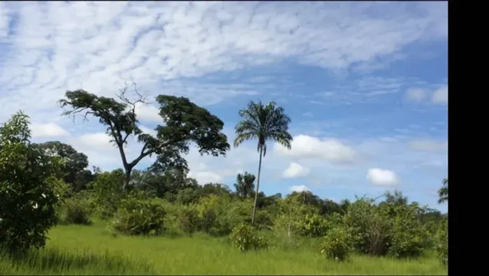 Fazenda frente p/ rodovia asfaltada, 146 alqueirões de terra plana.