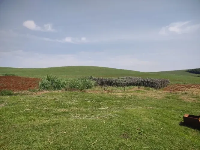 Vende-se fazenda de terra roxa pronta para plantio