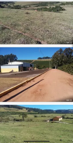 Fazenda de café e gado ? 