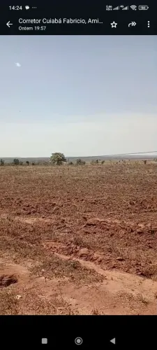 Fazenda para plantar Eucaliptos 7 milhec 4500 aberto em pasto em Barra do Garça MT.