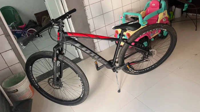 Bicicleta Lotus aro 29