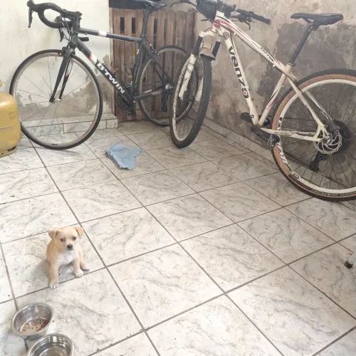 MTB E SPEED