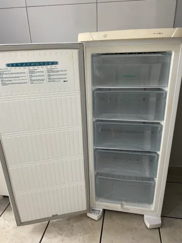 Freezer Electrolux