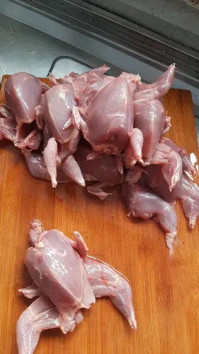 8 reais cada codornas abatidas