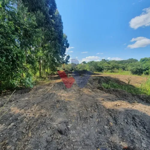 Chácara em Fazenda Rio Grande PR 7.900 m com rio, rancho e área plana para cultivo