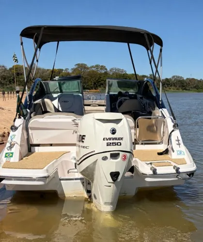 Lancha Focker240 | 24 pés | Evinrude 250 HP com carreta