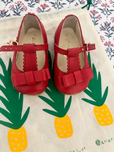 Sapatilha da marca Ananás , tamanho 15 , usado apenas uma vez pela minha filha. 