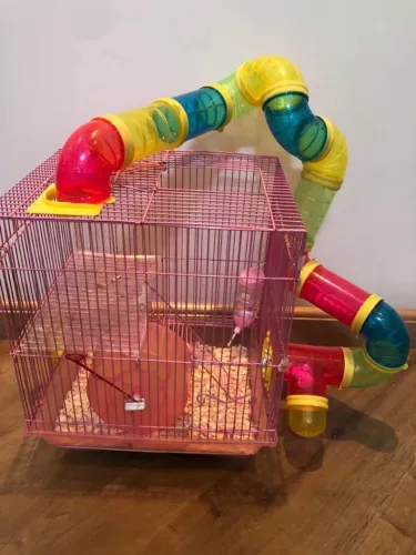 GAIOLA HAMSTER