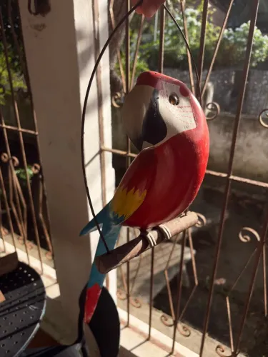 Arara artesanato