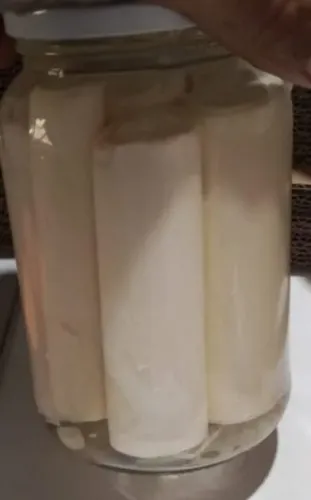 Palmito jucara 