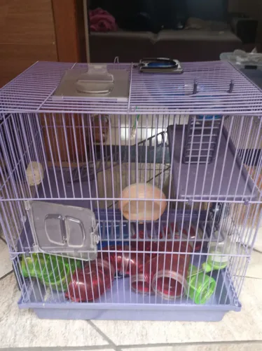 Gaiola para hamster ?
