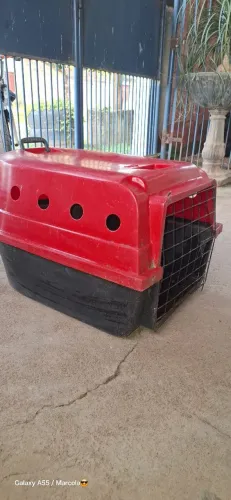 Casa de transporte para cachorro
