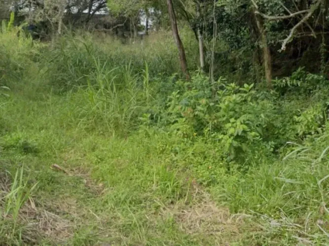 Terreno com 381m2 na Rua Aracua, Pantanal, Florianópolis/SC