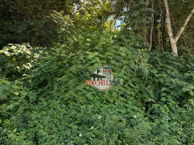 Terreno à venda, 400000 m² por R$ 40.000.000 - Tarumã Açu - Manaus/AM