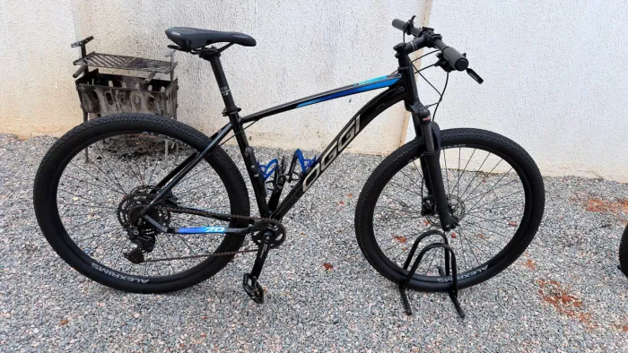 Vendo Bike Oggi aro 29 quadro 19 