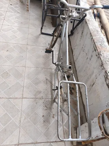 Bicicleta cargueira 