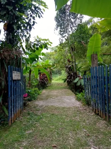 Sítio para venda