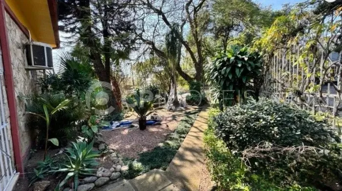 Casa com amplo terreno na Vila Ipiranga para comprar