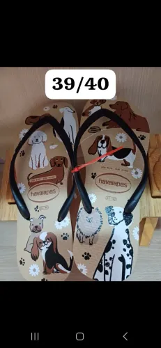 Chinelos havaianas 
