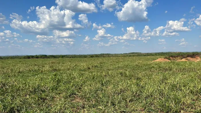 5.330 M2 na Vila Palmeirinha São Mateus do Sul