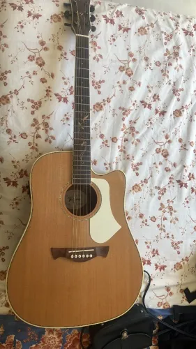 Violão Tagima FS 200 - Flores c/  bag original