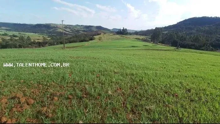 Área Rural para Venda em Tamarana