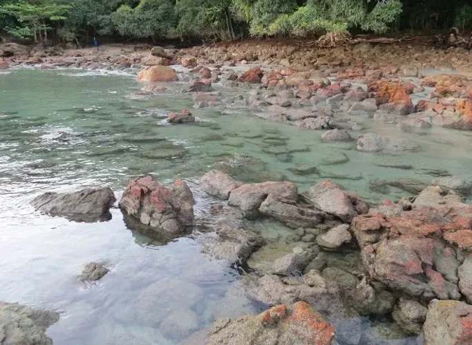 Terreno Vista Mar + CETESB | Praia da Fortaleza, Ubatuba (2.096m²) -PERMUTA Ate 100%