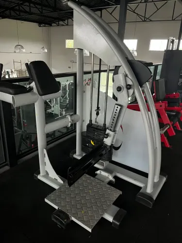 Máquina de glúteo vertical cybergym 