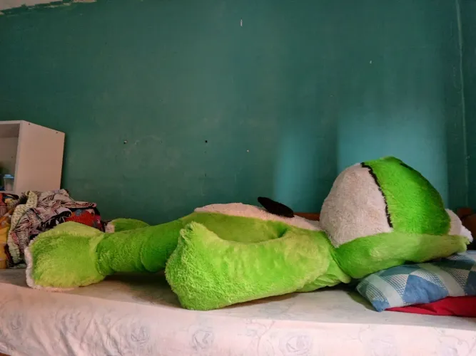 Sapo de pelúcia  grande