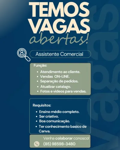 ASISTENTE COMERCIAL