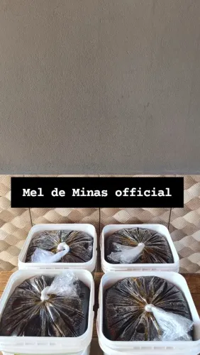 balde de mel 25 kg