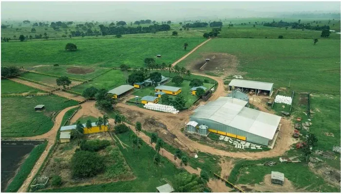Fazenda a venda com Dupla Aptidão Região de Juara MT