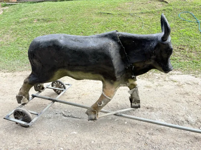 Vaca mecânica para treino laço