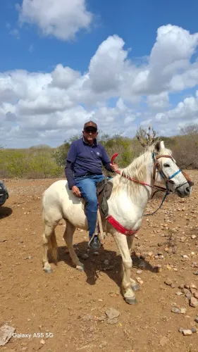 Excelente,  650t, com 7 aguadas, solo de massapê e energia elétrica em C. Coite  Bahia