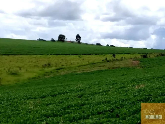Fazenda à venda em Sacramento-MG: 483,44 hectares em triângulo Mineiro