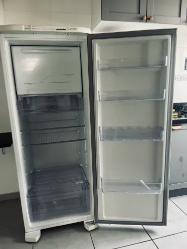 Geladeira Electrolux Cycle Defrost 240L