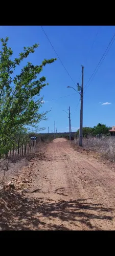 Lote